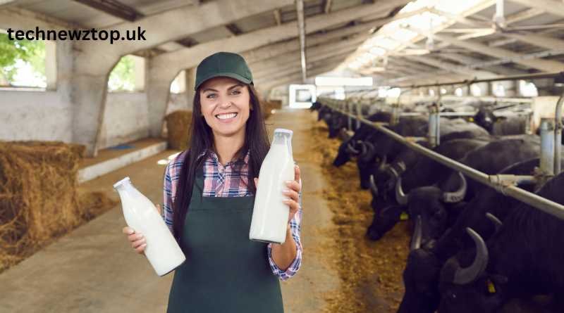 Wellhealthorganic Buffalo Milk Tag: A Gateway to Pure Dairy Delight!
